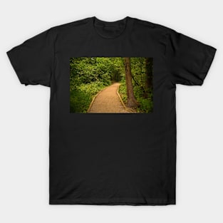 Path in Zelenci Nature Reserve, Slovenia T-Shirt